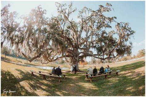 Wedding Walking Down The Aisle, Wedding Ceremony Photography, Amelia Island Wedding, Fort George, Ceremony Photography, St Augustine Wedding, Jacksonville Wedding, Emotional Wedding, Live Oak