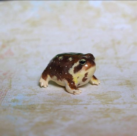 Frog Figure Clay, Polymer Clay Animal Charms, Clay Animals Sculpture, Cat Erpillar, Clay Frogs, Fimo Animals, Frog Clay, Desert Rain Frog, Pottery Frog