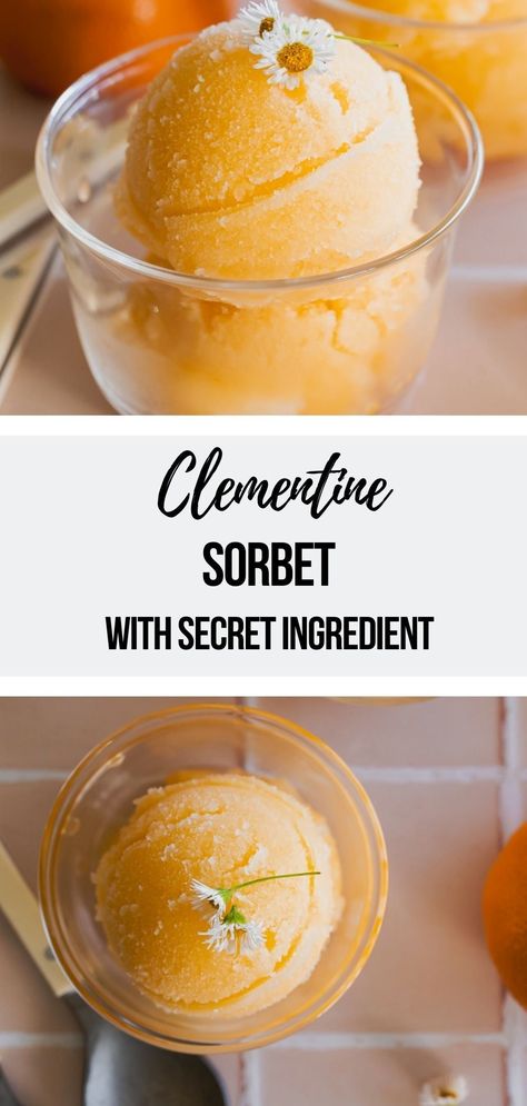 A bright and tangy clementine sorbet is just what you need for a summer refresh. What To Do With Clementines, What To Do With Old Clementines, Clementines Recipes, Water Ice Recipe, Clementine Ice Cream, Clementine Recipes, Clementine Cake, Sorbet Is, Best Gluten Free Desserts