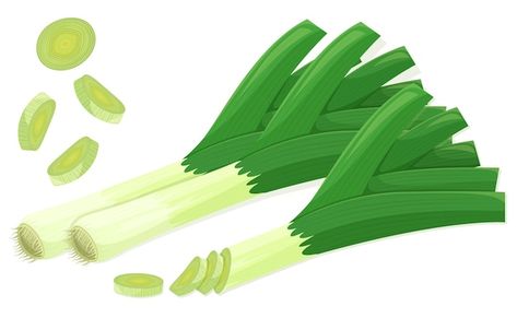 Leek set in flat cartoon style. single w... | Premium Vector #Freepik #vector #leek #green-onion #food-leaf #onion Leek Illustration, Leek Salad, Vitamin A Foods, Food Vector, Fresh Products, Organic Recipes Healthy, Green Onion, Wooden Background, Flat Illustration