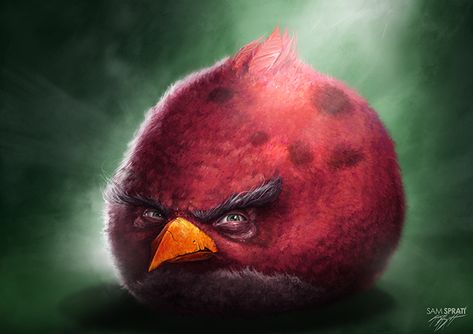 Sam Spratt — Black Bird Realistic Angry Birds, Angry Birds Funny, Red Angry Bird, Bird Meme, Don Pollo, Inspirational Horse Quotes, Putao, Angry Bird, Pinterest Memes