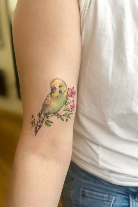 Parakeet Tattoo, Lovebird Tattoo, Tattoos Birds, Parrot Tattoo, Budgie Bird, Watercolor Bird Tattoo, Vogel Tattoo, Tiny Heart Tattoos, Watercolor Tattoos