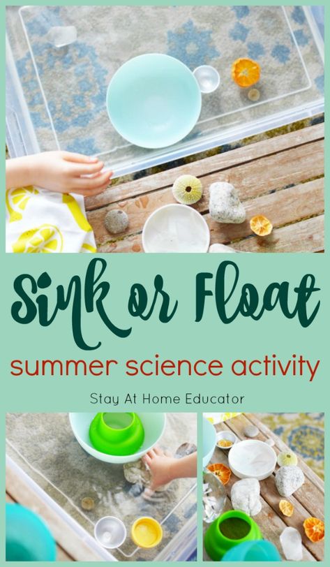 Try a Sink or Float Water Sensory Bin This Summer Water Theme Preschool, Water Sensory Bin, Summer Science Activities, Summer Activities For Toddlers, Summer Lesson, Summer Preschool Activities, Sink Or Float, Science Week, Preschool Science Activities