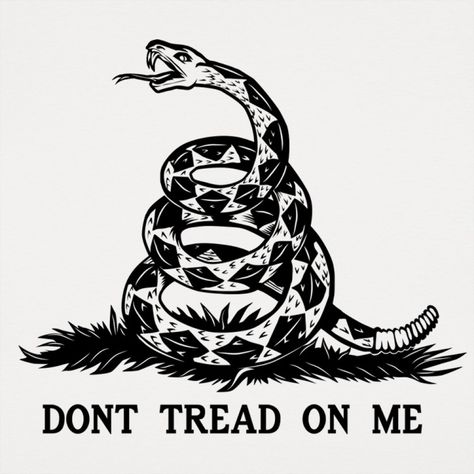 Don't Tread On Me Patriotic Tattoos, Texas Tattoos, Me Tattoo, Gadsden Flag, Western Tattoos, Military Tattoos, Don't Tread On Me, Flag Tattoo, Sleeves Ideas