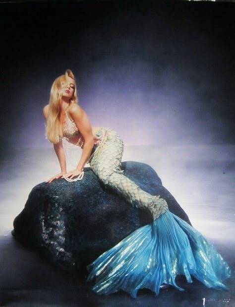 Mermaid On Rock, No Ordinary Girl, Mermaid Pose, Mermaid Photography, Pretty Mermaids, Fantasy Mermaids, Real Mermaids, Mermaid Pictures, Mermaid Aesthetic