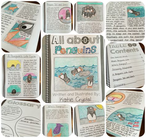 My ANIMAL RESEARCH PROJECT! Students create their own nonfiction books in this informational writing unit. Second Grade Research Project Ideas, Biodiversity Project Ideas, Animal Research Project, Animal Writing, Fourth Grade Science, Animal Report, Animal Research, Third Grade Writing, 3rd Grade Writing