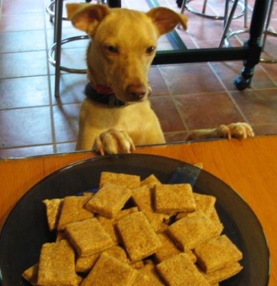 Crunchy Peanut Butter Dog Treats, Peanut Butter Dog Cookies Recipe, Dog Cookies Recipe Peanut Butter, Dog Cookies Recipe, Dog Cookie Recipes, Homemade Dog Cookies, Doggy Treats, Easy Dog Treat Recipes, Crunchy Peanut Butter