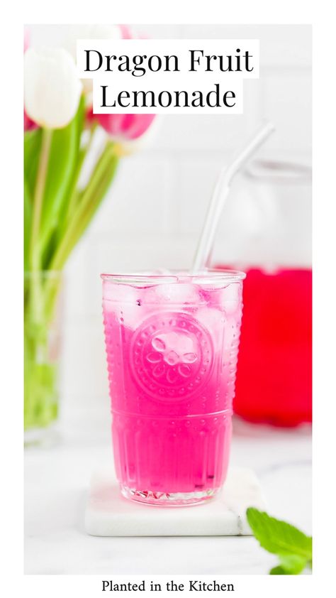 Dragon Fruit Lemonade Recipe, Dragon Fruit Drink, Dragon Fruit Lemonade, Dragon Fruit Juice, Dragonfruit Recipes, Fruit Lemonade, Dragon Fruit Smoothie Bowl, Flavored Lemonade, Homemade Lemonade Recipes