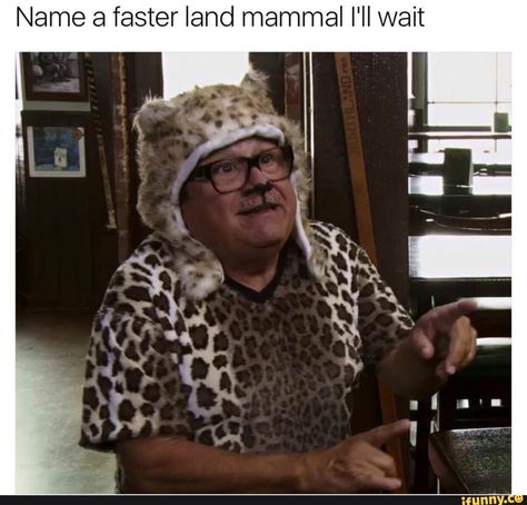 Name a faster land mammal I'll wait – popular memes on the site iFunny.co #dannydevito #celebrities #dannydevito #alwayssunny #mancheetah #wtf #name #faster #land #mammal #ill #wait #pic Leopard Outfit, Danny Devito, Always Sunny, I Hope