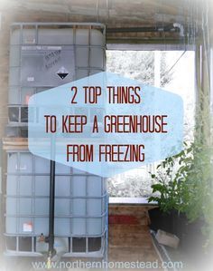 2 Top Things to Keep a Greenhouse From Freezing Greenhouse Supplies, Winter Greenhouse, Greenhouse Shed, Thermal Mass, Greenhouse Growing, Backyard Greenhouse, Small Greenhouse, Greenhouse Kit, Greenhouse Plans