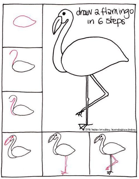 How to draw a flamingo. How to draw birds tutorials. Draw A Flamingo, Drawing Things, Easy Drawings For Beginners, Easy Drawings For Kids, Drawing For Beginners, Step Drawing, Journal Doodles, Bird Drawings, Drawing Lessons