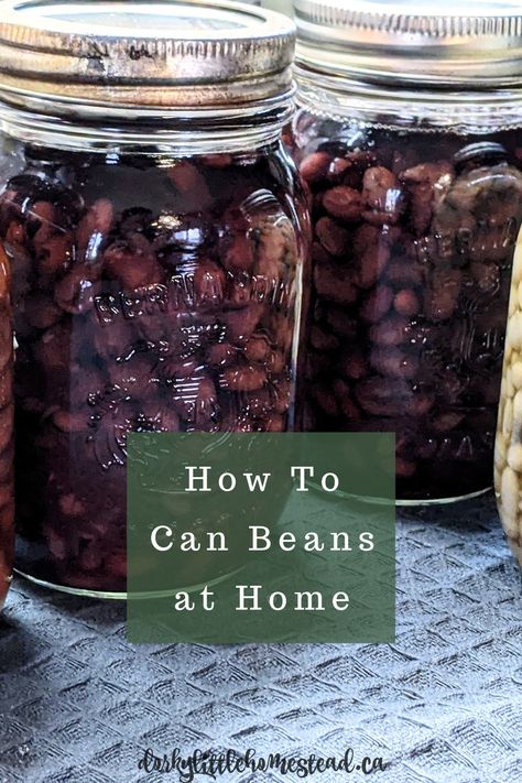 Canning Black Beans, Canning Dry Beans, Easy Bean Dip, Canning Beans, Black Turtle Beans, Pressure Canning Recipes, Types Of Beans, Dry Beans, Pressure Canner