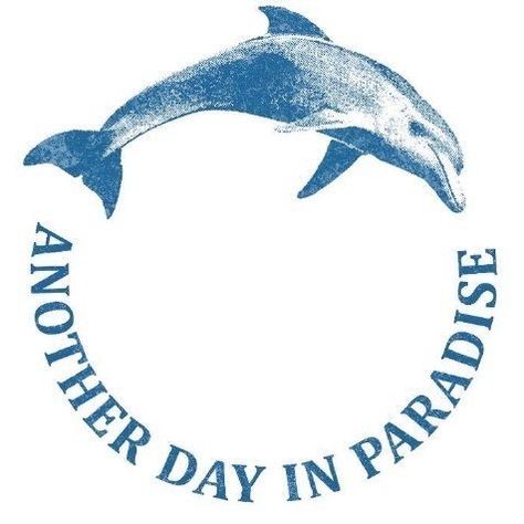 ANOTHER DAY IN PARADISE (@anotherdayinparadise.fm) • Instagram photos and videos Another Day In Paradise, Lost & Found, Another Day, Dolphins, Paradise, Lost, Photo And Video, Instagram Photos, Instagram Photo