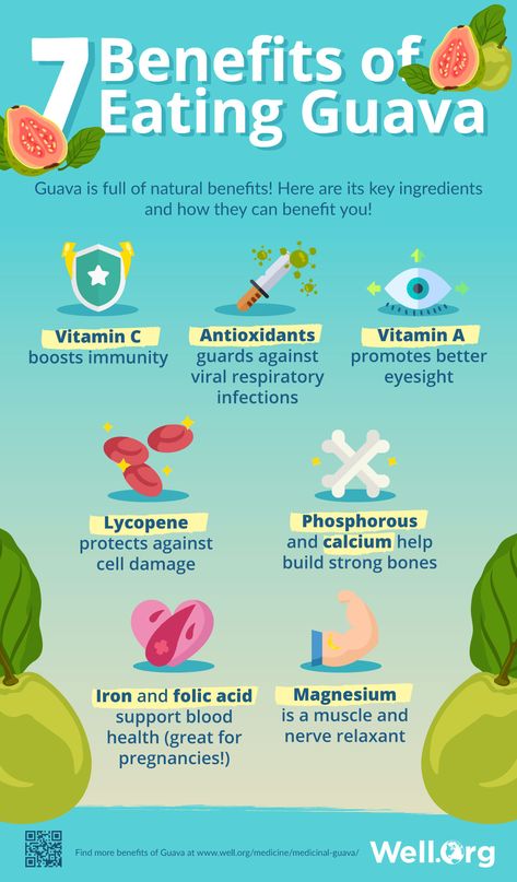 The Medicinal Properties Of Guava And Its Leaves [INFOGRAPHIC] Guava Health Benefits, Benefits Of Guava, Guava Leaf Tea, Guava Benefits, Guava Leaves, Guava Fruit, Strong Teeth, Tropical Countries, How To Prevent Cavities