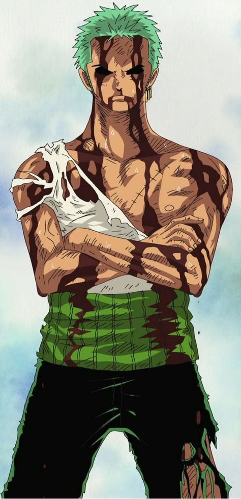 Roronoa Zoro | One Piece Wiki | Fandom Roronoa Zoro Nothing Happened, Zoro Nothing Happened, Mera Mera No Mi, One Piece Logo, Harry Potter Stickers, Zoro Nami, Zoro Roronoa, Boy Illustration, One Piece Wallpaper