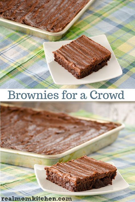 Delicious Brownies for a Crowd Brownies For A Crowd Sheet Cakes, Brownies For A Crowd, Brownies Cupcakes, Traditional Cookies, Hot Fudge Cake, Hot Chocolate Fudge, Baking Treats, Mom Kitchen, Trifle Desserts