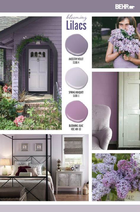 Looking to add a subtle pop of color to your home this summer? Find inspiration for your next DIY home makeover project with Behr Paint in Ancestry Violet, Spring Bouquet, and Blooming Lilac. Click below to learn more. Lilac House Exterior, Behr Purple Paint Colors, Behr Purple, Lilac Grey Paint, Lilac And Grey Bedroom, Lilac Paint Color, Lilac Room, Color Categories, Color Spotlight