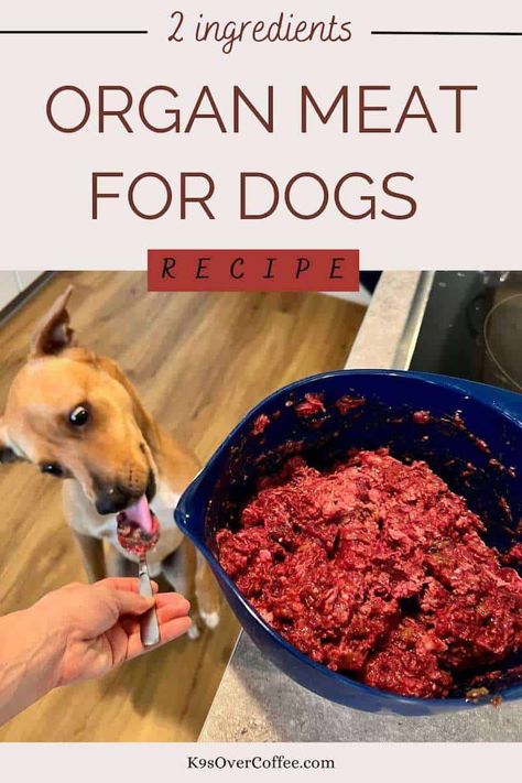 Organ Meat Supplement, Dried Meat Recipe, Homemade Raw Dog Food, Beef Heart Recipe, Dog Food Recipes Crockpot, Dog Homemade, Organ Meat, Treat Business, Dog Food Recipe