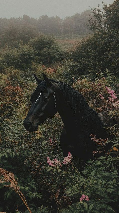 Wallpaper Backgrounds Horses, Horse Ipad Wallpaper, Horse Art Wallpaper, Equestrian Aesthetic Wallpaper, Horses Wallpaper Iphone, Dark Horse Wallpaper, Horses In Fall, Horse Aesthetic Wallpaper, Equestrian Wallpaper