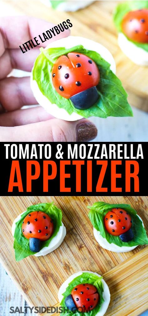 Ladybug Appetizers, Caprese Salad Appetizer, Caprese Salad Bites, Mozzarella Appetizers, Caprese Appetizer, Tomato Appetizers, Caprese Bites, Tomatoes And Mozzarella, Mozzarella Tomato