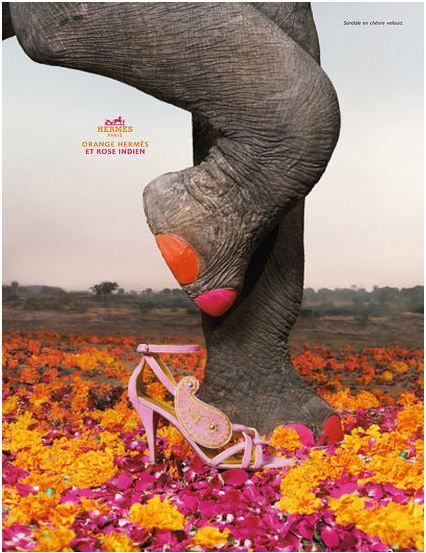 sweet :) Advertisements Ideas, Ad Inspiration, Logos Retro, Indian Pink, Advertising Posters, Hermes Orange, 광고 디자인, Creative Shoes, Publicidad Creativa