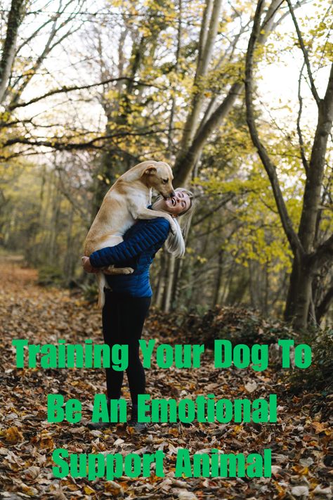 Training Your Dog To Be An Emotional Support Animal Emotional Support Dog Training, Esa Dog, Dog Training Commands, Dog Commands Training, Dog Commands, Emotional Support Dog, Support Dog, Emotional Support Animal, Dog Brain