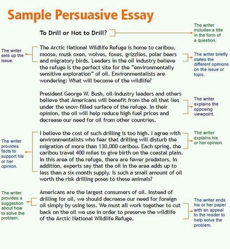 Persuasive Persuasive Essay Introduction, Argument Analysis, Opinion Essay Examples, Essay Writing Prompts, Persuasive Texts, Persuasive Essay Outline, Essay Conclusion, Argument Essay, Persuasive Essay Topics