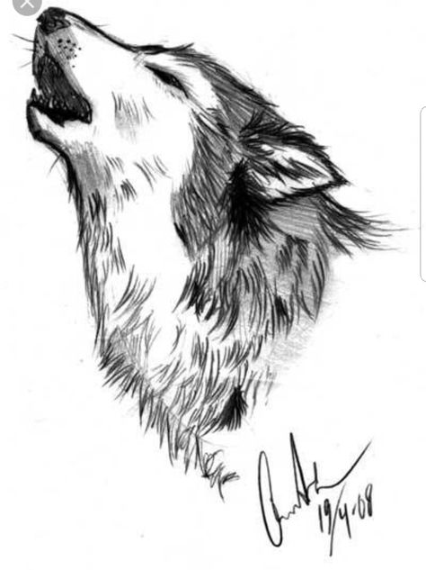 Wolf Doodle, Wolf Drawing Easy, Draw A Wolf, Wolf Sketch, Meaningful Drawings, Wolf Drawing, A Wolf, Animal Sketches, Wolf Art