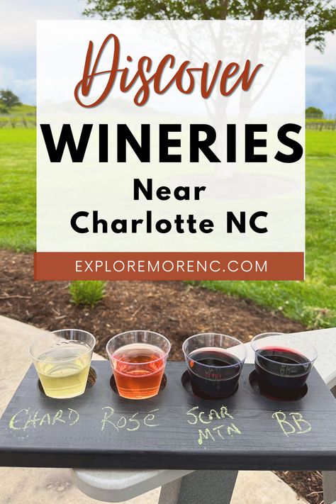 Explore the best wineries near Charlotte NC for the perfect day trip or weekend getaway. This guide offers a curated list of 57 incredible vineyards, each offering unique wine-tasting experiences amidst picturesque settings. From family-owned estates to innovative wineries, discover the rich variety of wines in the Charlotte region, making it an ideal destination for wine lovers and those seeking a leisurely escape from the city. Nc Wineries, Rocky River, Wine Tasting Experience, Charlotte Nc, Tap Room, Blue Ridge Mountains, Tasting Room, Weekend Trips, Blue Ridge