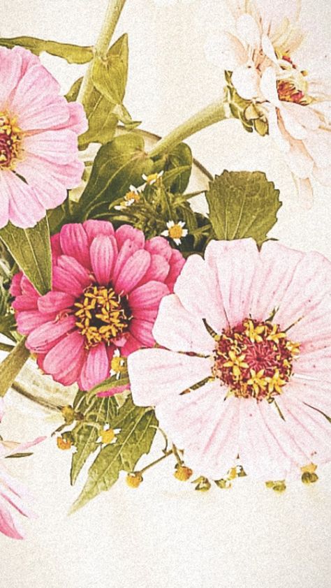 #pinkflowers Zinnia Flower Painting, Zinnia Tattoo Ideas, Zinnia Aesthetic, Zinnia Drawing, Zinnia Tattoo, Zinnia Painting, Zinnia Garden, Botanical Drawing, Zinnia Flowers