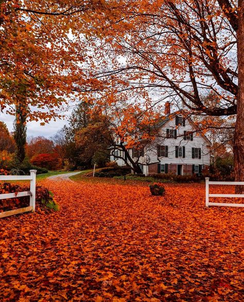 Hay Ride Aesthetic, Aesthetic Fall Photos, Autumn House, Favorite Aesthetic, Leaves Changing Color, Days Until Halloween, Orange Leaves, Autumn Magic, Aesthetic Fall