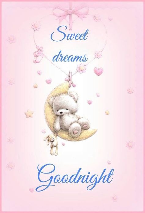 Sweet Dreams Good Night, Good Night Teddy Bear, Sweet Dream Quotes, Night Love Quotes, Lovely Good Night, Good Night Love Quotes, Goodnight Quotes, Good Night Images, Dream Night