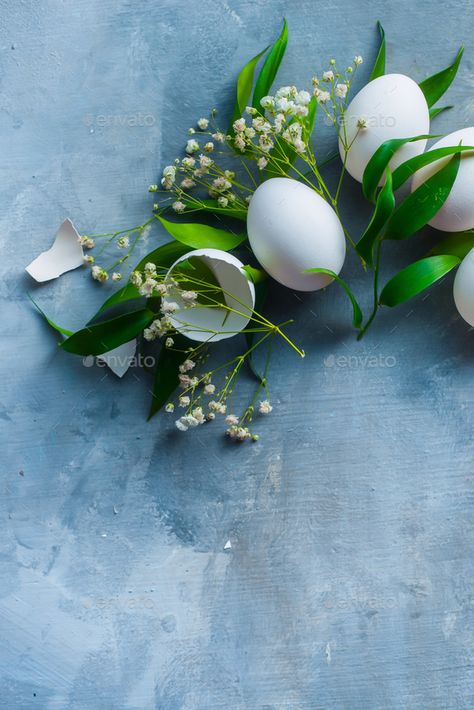 Easter Green, Easter Background, Organic Cooking, Easter Backgrounds, Spring Flowers, Photography Ideas, Green Leaves, Easter, Flowers