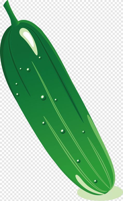 Cucumber Cartoon, Vegetable Marrow, Marrow Recipe, Watermelon Fruit Salad, Zucchini Vegetable, Cucumber Vegetable, Leaf Png, Fruit Health, Vegetable Cartoon