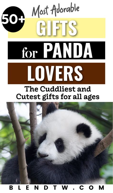 gift for panda lovers What To Get For Christmas, College Girl Gifts, Cool Panda, College Majors, Panda Gifts, Panda Bears, Presents For Friends, 50th Gifts, Gifts Birthday