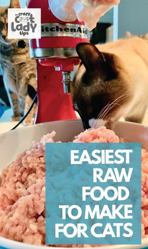 Just take raw meat and mix in EZ Complete fur Cats and you have yourself some quick and easy cat raw food! #catfood #raweating Diy Raw Cat Food Recipe, Cat Raw Diet Food Recipes, Raw Cat Food Recipes Homemade, Raw Food Cat Diet, Raw Food Diet For Cats, Natural Cat Food Recipes, Raw Diet For Cats, Raw Food For Cats, Fresh Cat Food Recipes