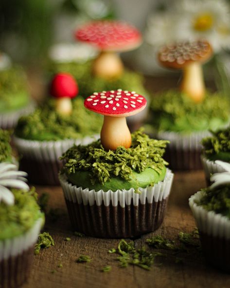 Edible Moss, Mushroom Cupcakes, Love Herbs, Mushroom Chocolate, Mushroom Cake, Moringa Powder, Cupcake Tins, Edible Mushrooms, Forest Cake