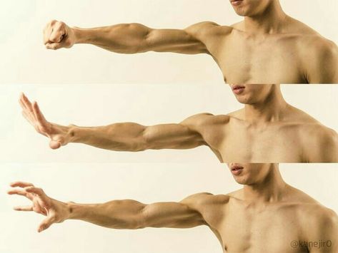 Arms Above Head Pose Reference, Arms Behind Head Pose Drawing, Arms Muscles, Arm Anatomy, 남성 근육, Hand Muscles, Modele Fitness, Man Anatomy, Desen Realist