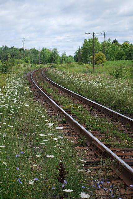 Railway Track Illustration, Walking On Train Tracks, Railway Track Background, Overgrown Railway, Photoshop Landscape, Abandoned Train Tracks, Stay On Track, Challenging Times, Dream Job