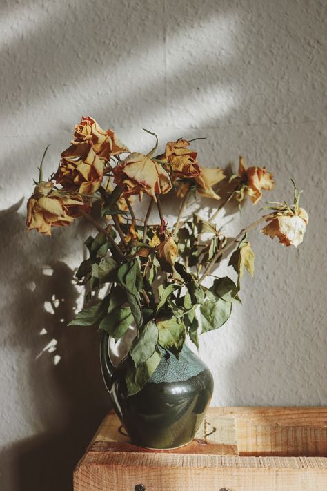 Aesthetic Composition, Ceramic Vase, Composition, Roses, Vase, Flowers