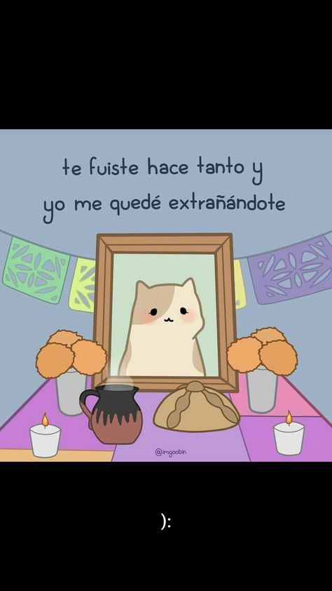 I Miss My Cat, Astro Cat, Día De Muertos, Selfie Poses Instagram, Pop Art Wallpaper, Cat Wallpaper, Animal Quotes, Cat Drawing, Email List