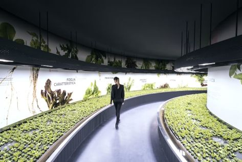 Carlo Ratti Associati, Daniele Iodice · Hortus Exhibit Design Inspiration, Museum Exhibition Design, مركز ثقافي, Urban Agriculture, Ceiling Design Bedroom, Urban Nature, Urban Furniture, Science Museum, Future City