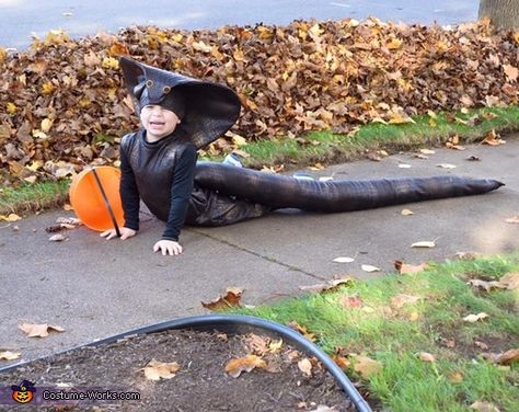 This is the costume I made for my son. He is obsessed with reptiles/bugs/creepy crawly things etc. and wanted to be a cobra for Halloween last year, so here it is! I used no pattern, just the ideas in my head. Stretchy reptile print brown/black... Cobra Costume, Scary Halloween Costume Ideas, 2017 Halloween Costumes, Snake Costume, Scary Snakes, Purim Costumes, Book Day Costumes, Scary Halloween Costume, Costume Works