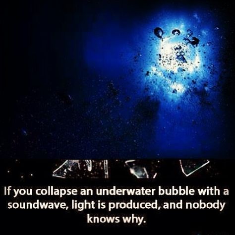 Underwater Bubbles, Fact Of The Day, The More You Know, Meditation Music, Sound Waves, General Knowledge, Science And Nature, New Memes, Mind Blown