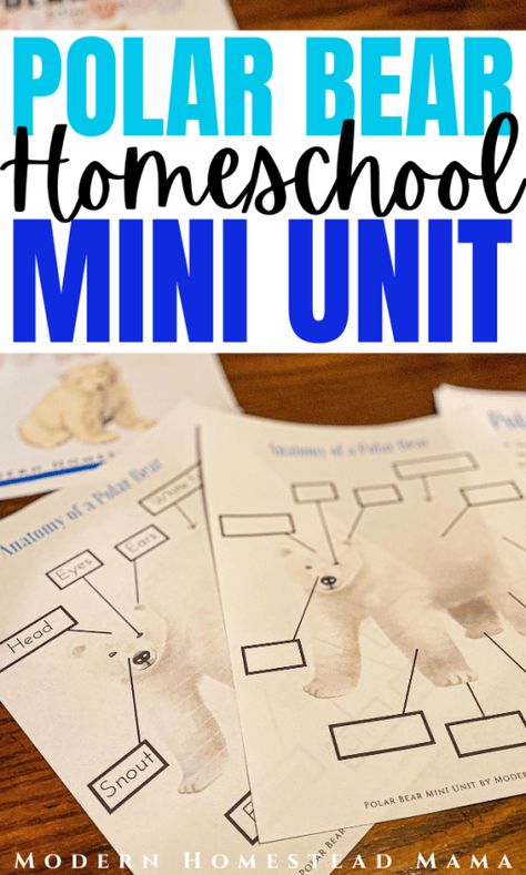 Polar Bear Homeschool Mini Unit | Modern Homestead Mama Polar Bear Unit, Polar Bear Facts, Polar Bear Craft, Winter Unit, Modern Homestead, Winter Activities Preschool, Preschool Programs, Fun Winter Activities, Winter Books