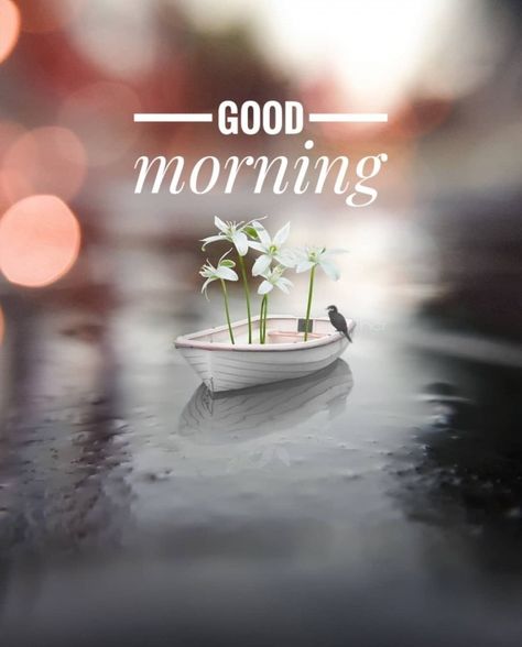 Good Morning Image - DesiComments.com Very Good Morning Images, Good Morning Monday Images, Good Morning Sunday Images, Latest Good Morning Images, Good Morning Image, Good Morning Massage, Good Morning Beautiful Gif, Good Morning Inspiration, Good Morning Nature