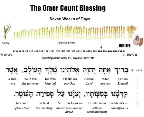 Sefirat HaOmer - Counting the Omer Counting The Omer, Count Blessings, Biblical Feasts, Jewish Feasts, Passover Lamb, Hebrew Blessing, Hebrew School, Personal Revelation, The Torah