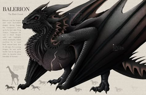 Balerion The Black Dread, Black Dreads, Game Of Thrones Artwork, Game Of Thrones Dragons, Got Dragons, Fire And Blood, Mythical Dragons, Dragon Artwork Fantasy, Targaryen Art