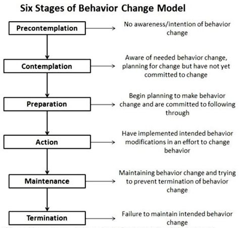 Transtheoretical model stages of behavior change Children Background, Pe Lessons, Health Literacy, Motivational Interviewing, Psychological Effects, Self Efficacy, Counseling Activities, Reward System, Behavior Change