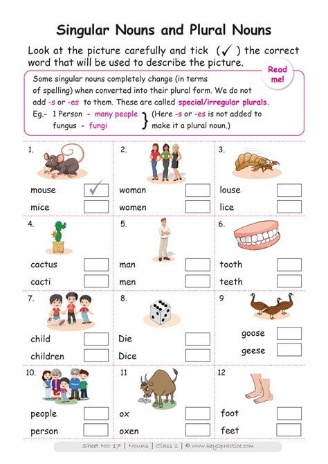 Basic English Worksheets, Nouns Activities, Worksheets For Class 1, Singular Nouns, Nouns Worksheet, Picture Composition, English Worksheet, First Grade Worksheets, Proper Nouns